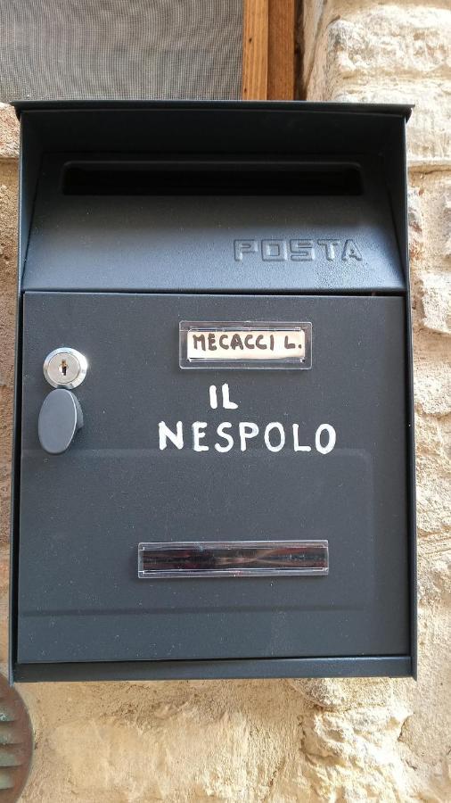 Appartamento Il Nespolo San Gimignano Esterno foto
